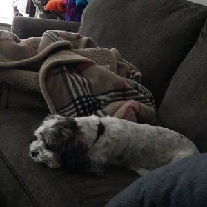 Meet your Posher, Jake